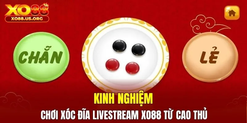 Kinh nghiệm chơi xóc đĩa livestream XO88 từ cao thủ