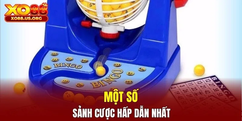 Một số sảnh cược hấp dẫn nhất