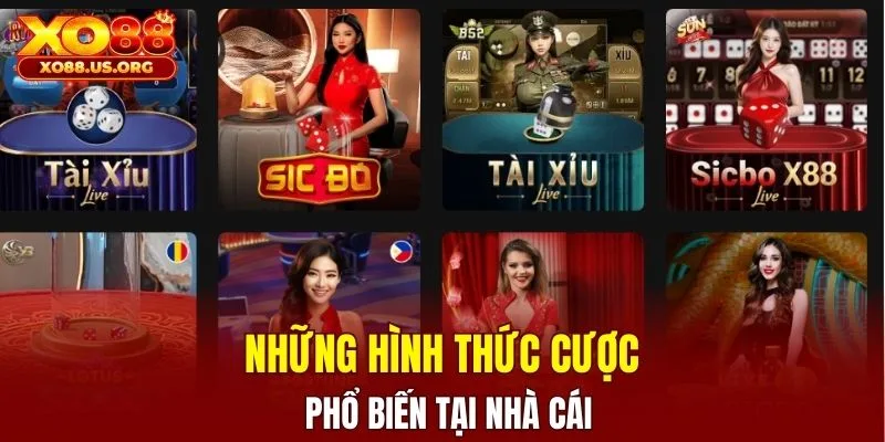 Những hình thức cược phổ biến tại nhà cái